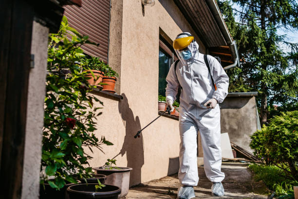 Best Pest Inspection Near Me  in Maxwell, CA