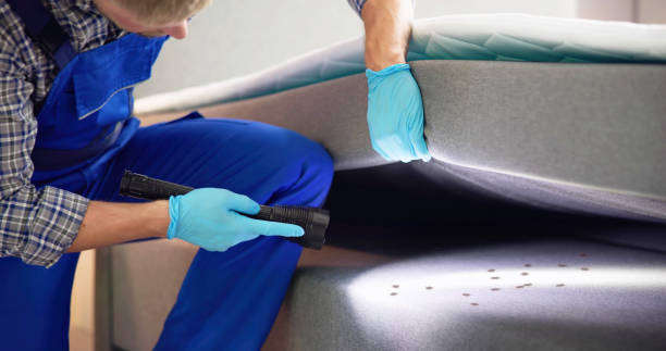 Best Flea Control Services  in Maxwell, CA