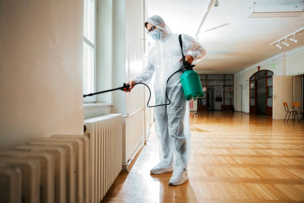 Best Termite Control Services  in Maxwell, CA