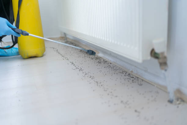 Best Pest Removal Services  in Maxwell, CA
