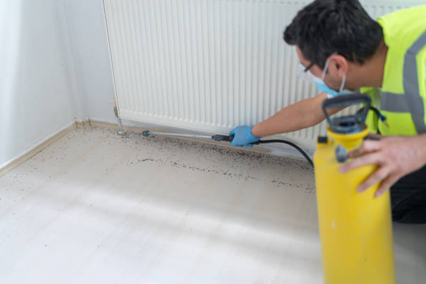 Best Wasp Removal Services  in Maxwell, CA