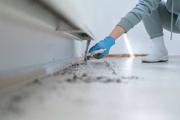 Best Pest Prevention Services  in Maxwell, CA