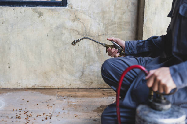Pest Prevention Services in Maxwell, CA