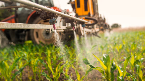 Best Commercial Pest Control Services  in Maxwell, CA